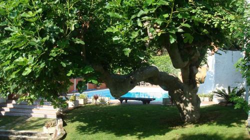 Agroturismo Comarquinal Bioresort Penedes
