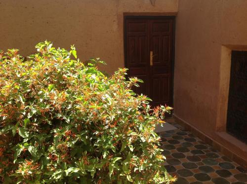 Riad Timadrouine