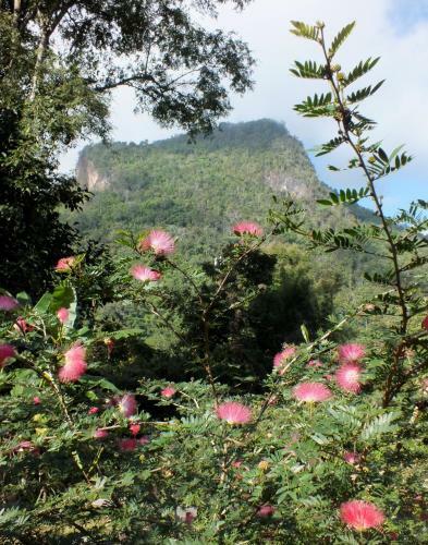 Bed & Breakfast Chiang Dao Roundhouses