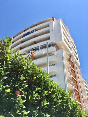 Apartment 104 - Flamingo Residence