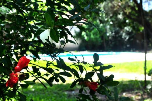 Agroturismo Los Olivos Loft