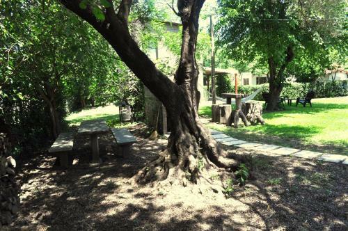 Agroturismo Los Olivos Loft