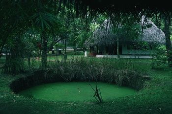 Hotel The Marari Beach Resort