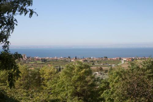 Agroturismo Agriturismo Il Grappolo