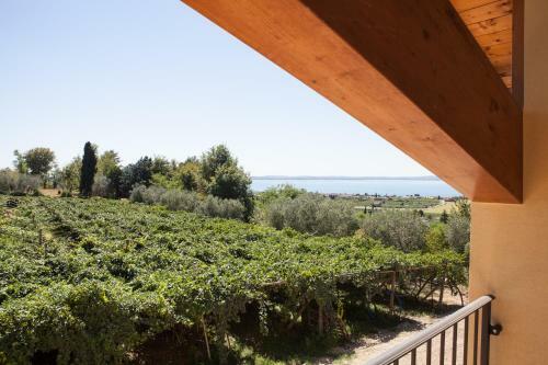 Agroturismo Agriturismo Il Grappolo
