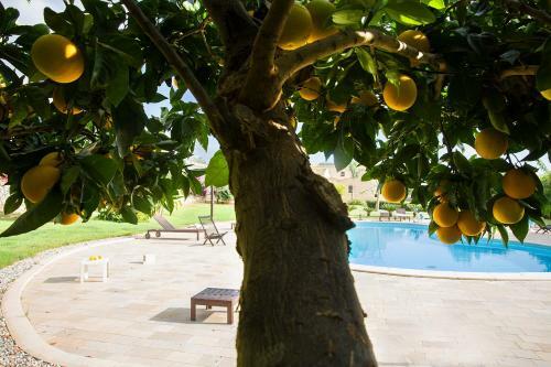 Agroturismo Torre Dantona - Country Hotel