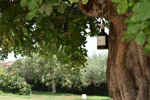 Agroturismo Torre Dantona - Country Hotel