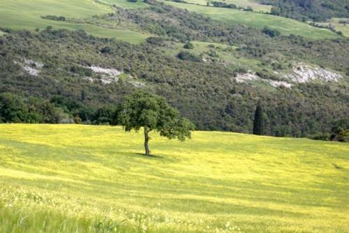 Hostal Agriturismo Pian Di Meta Vecchia