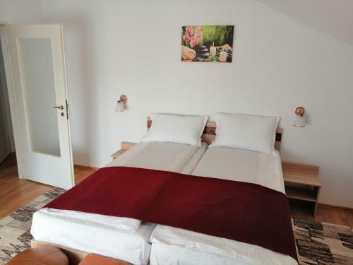Hostal Casa Pintea