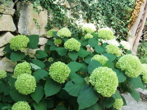 Agroturismo Country House Case Catalano