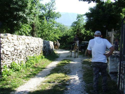 Agroturismo Country House Case Catalano