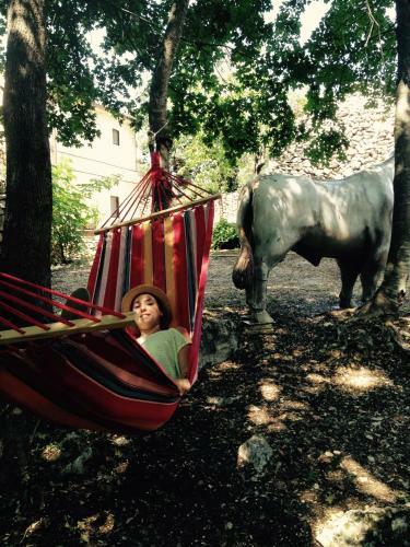 Agroturismo Country House Case Catalano