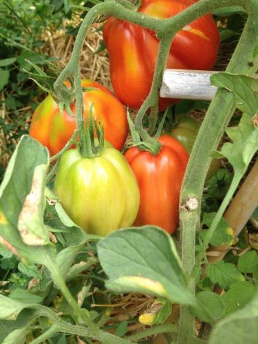 Agroturismo Country House Case Catalano