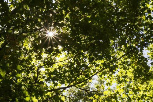 Agroturismo Country House Case Catalano