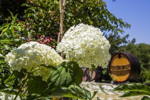 Agroturismo Country House Case Catalano