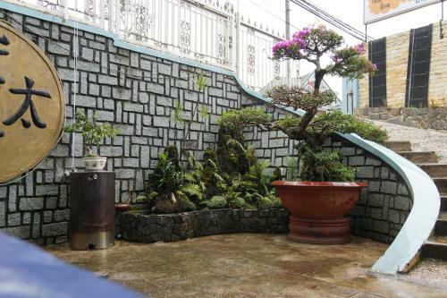 Hotel Cam Ly Homestay