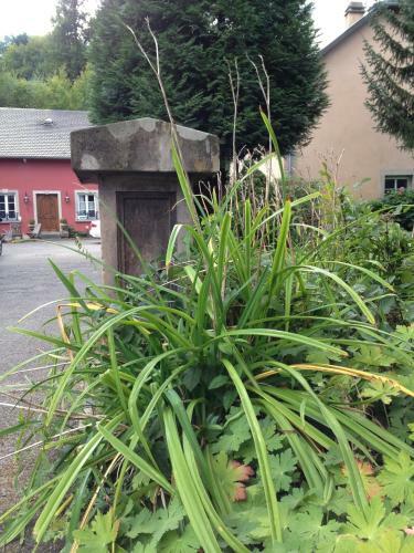 Bed & Breakfast Domaine Du Moulin