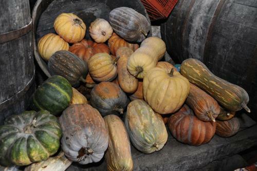 Agroturismo Agriturismo Serafina