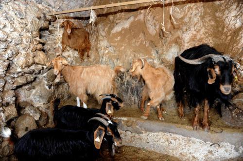 Agroturismo Agriturismo Serafina