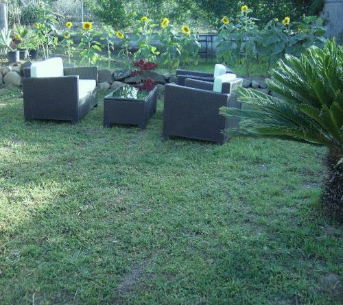 Bed & Breakfast Free Zone