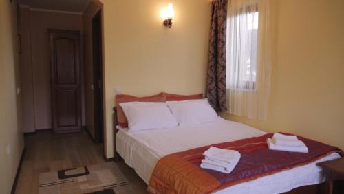 Hostal Pension Musatinii