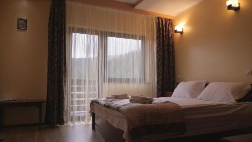 Hostal Pension Musatinii