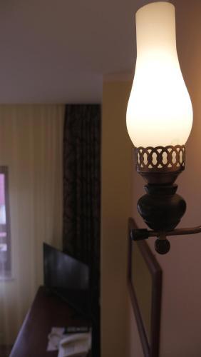 Hostal Pension Musatinii