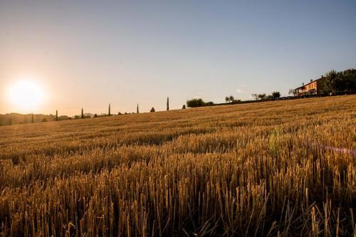 Agroturismo Agriturismo Il Tiro