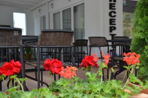 Hostal Vila Paloma Residence Mamaia