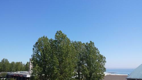 Hostal Vila Paloma Residence Mamaia