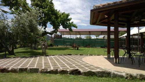 Hostal Agriturismo Poggio Agli Ulivi