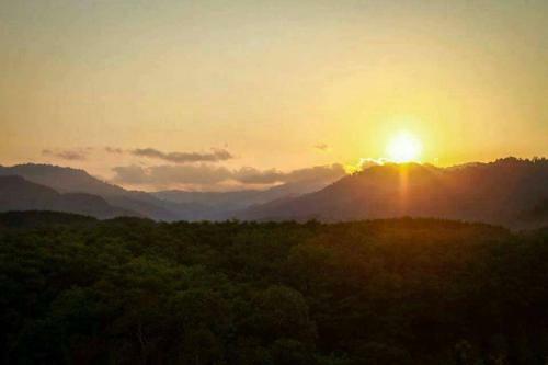Khaosok Discovery Boutique Camps