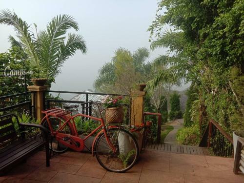 Khaosok Discovery Boutique Camps