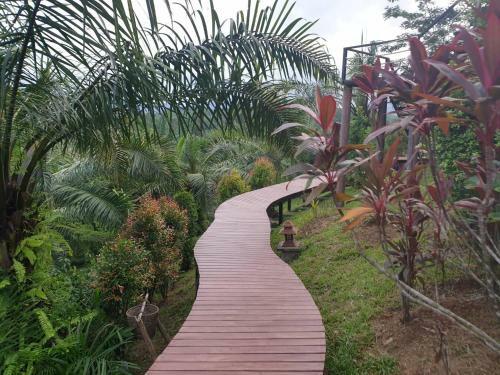 Khaosok Discovery Boutique Camps