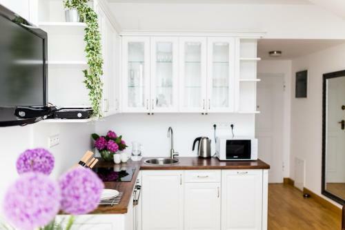 Apartamenty Parkside Krak�w