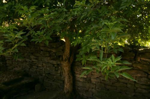 Agroturismo La Casa De Los Arribes