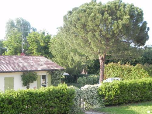 Apartamento Caterina Residence