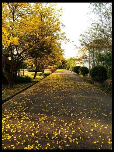 Hotel Fueng Fah Riverside Gardens Resort