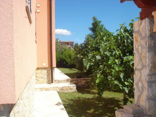 Apartments Villa Orange
