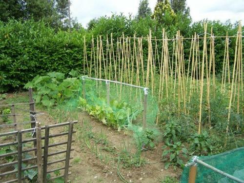 Agroturismo Ortali Country House