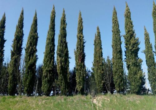 Toscana Village