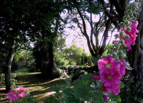 Bed & Breakfast La Claverie