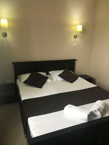 Hostal Pensiunea Violeta