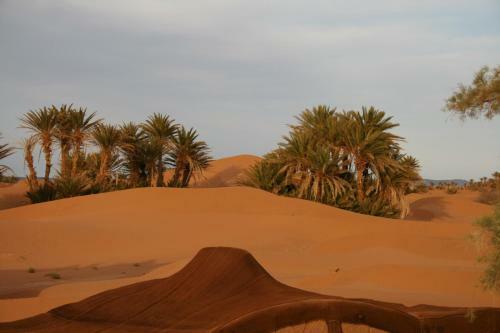 Bivouac R�ve Sahara-dar Azawad