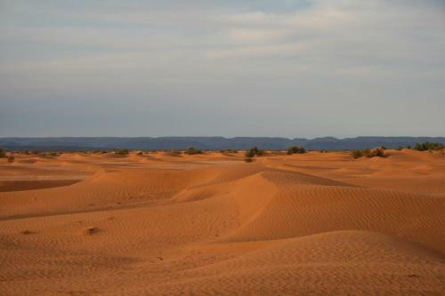 Bivouac R�ve Sahara-dar Azawad