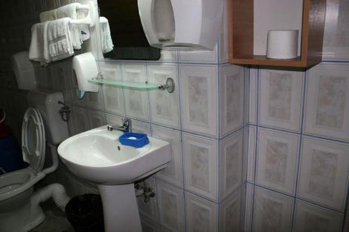 Hostal Pensiunea Pui De Urs Sirnea