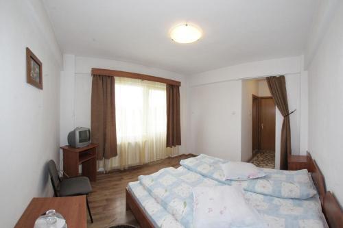 Hostal Pensiunea Pui De Urs Sirnea