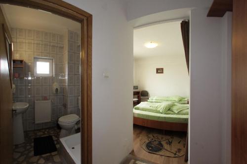 Hostal Pensiunea Pui De Urs Sirnea