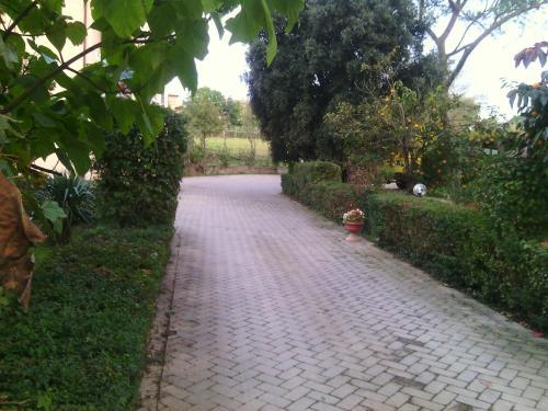 B&B Maneggio Artisti Del Cavallo