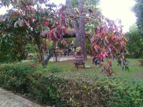 B&B Maneggio Artisti Del Cavallo